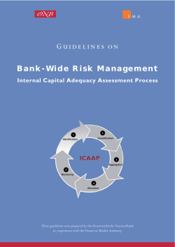 Guidelines on Bank-Wide Risk Management &ndash; Internal