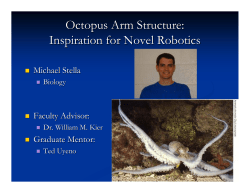 Octopus Arm Structure: Inspiration for Novel Robotics
