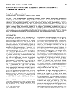 Effective Conductivity of a Suspension of Permeabilized Cells: A