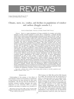 Climate, snow, ice, crashes, and declines in populations of reindeer