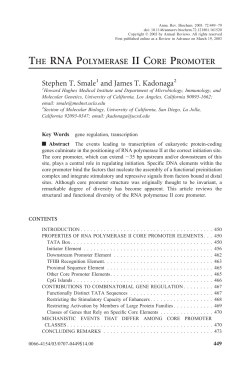 The RNA Polymerase II Core Promoter
