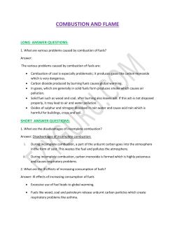 COMBUSTION AND FLAME