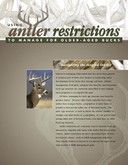 P2427 Using Antler Restrictions to Manage for Older