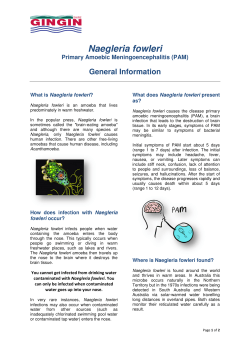 Naegleria fowleri