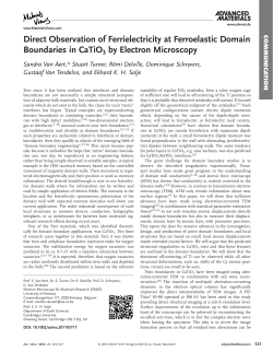 Direct Observation of Ferrielectricity at Ferroelastic Domain