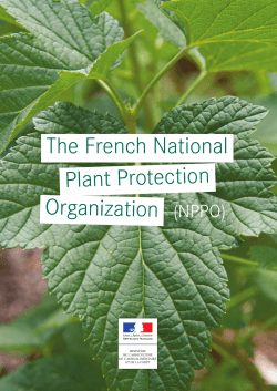 The French National Plant Protection Organization