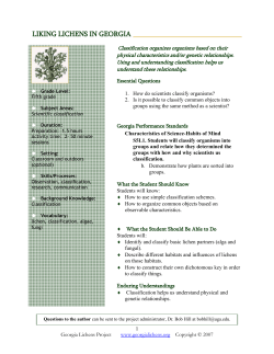 liking lichens in georgia