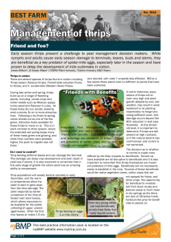 Management of thrips