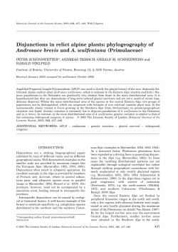 Disjunctions in relict alpine plants: phylogeography of Androsace
