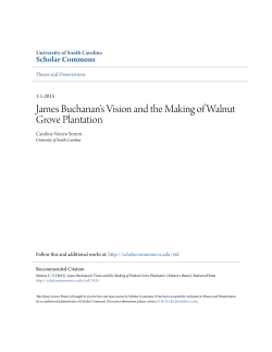 James Buchanan`s Vision and the Making of Walnut Grove Plantation