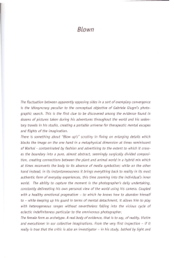 ThefIuctuation between apparently opposing sides