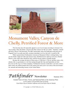 Monument Valley, Canyon de Chelly, Petrified