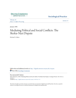Mediating Political and Social Conflicts: The Skokie