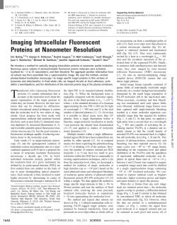 Imaging Intracellular Fluorescent Proteins at Nanometer