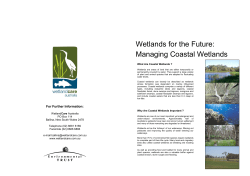 Coastal Wetlands - WetlandCare Australia
