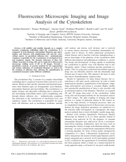 Fluorescence Microscopic Imaging and Image - RWTH