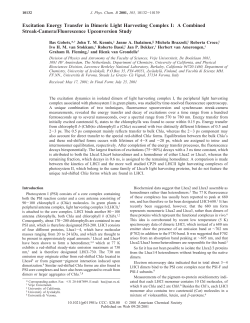 Excitation Energy Transfer in Dimeric Light Harvesting Complex I: A