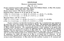 Original description (NemasLan)