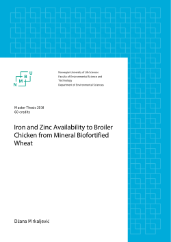 Iron and Zinc Availability to Broiler Chicken from Mineral Biofortified