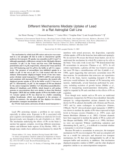 Different Mechanisms Mediate Uptake of Lead in a Rat Astroglial