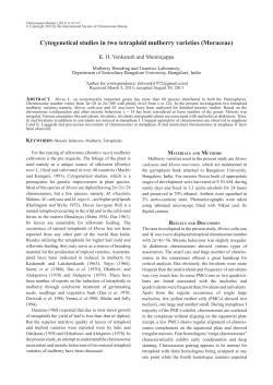 Cytogenetical studies in two tetraploid mulberry varieties (Moraceae)