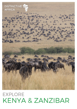 pdf - Distinctive Africa