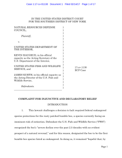 Suit Filed by NRDC to Protect Rusty Patched Bumblebee