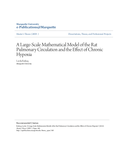 A Large-Scale Mathematical Model of the Rat Pulmonary Circulation