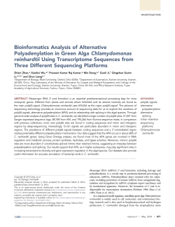 Bioinformatics Analysis of Alternative Polyadenylation in Green Alga