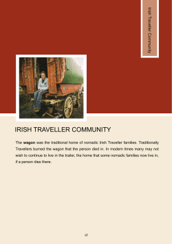 irish traveller community