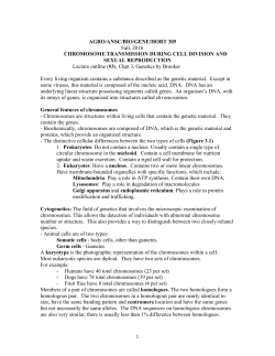 1 AGRO/ANSC/BIO/GENE/HORT 305 Fall, 2016 CHROMOSOME