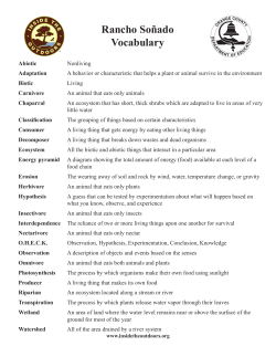 Rancho Soñado Vocabulary