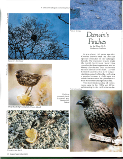 Finches - Journals