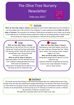 The Olive Tree Nursery Newsletter