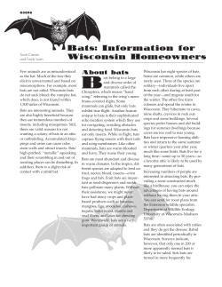 Bats: Information for Wisconsin Homeowners