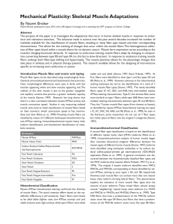 Mechanical Plasticity: Skeletal Muscle Adaptations