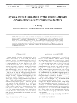 Byssus-thread formation by the mussel Mytilus edulis: effects of