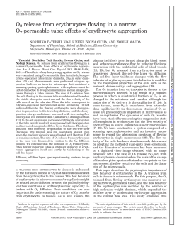 O2 release from erythrocytes flowing in a narrow O2 - AJP
