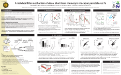 poster pdf - Chris Klink, PhD