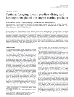 Optimal foraging theory predicts diving and
