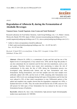 Degradation of Aflatoxin B1 during the Fermentation of Alcoholic