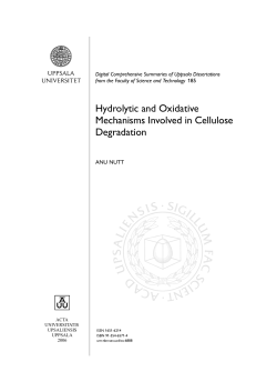 Hydrolytic and Oxidative Mechanisms Involved in Cellulose