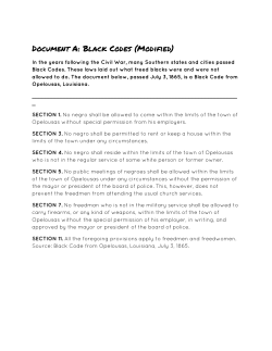 Document A: Black Codes (Modified)