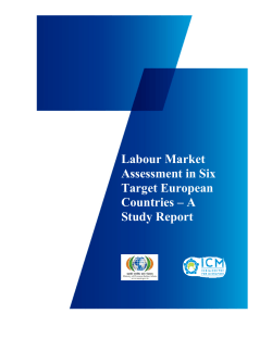Labour Market Assessment in Six Target European Countries &ndash; A