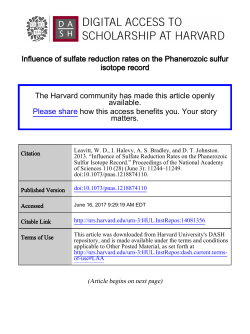 Influence of sulfate reduction rates on the Phanerozoic sulfur isotope