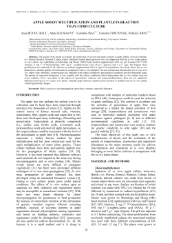 apple shoot multiplication and plantlets reaction