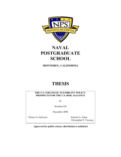 The US Strategic Flexibility Policy: Prospects for the US