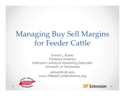 Managing Buy Sell Margins for Feeder Cattle