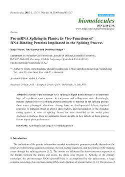 Pre-mRNA Splicing in Plants: In Vivo Functions of RNA