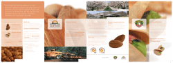 NPA Corporate Brochure PDF